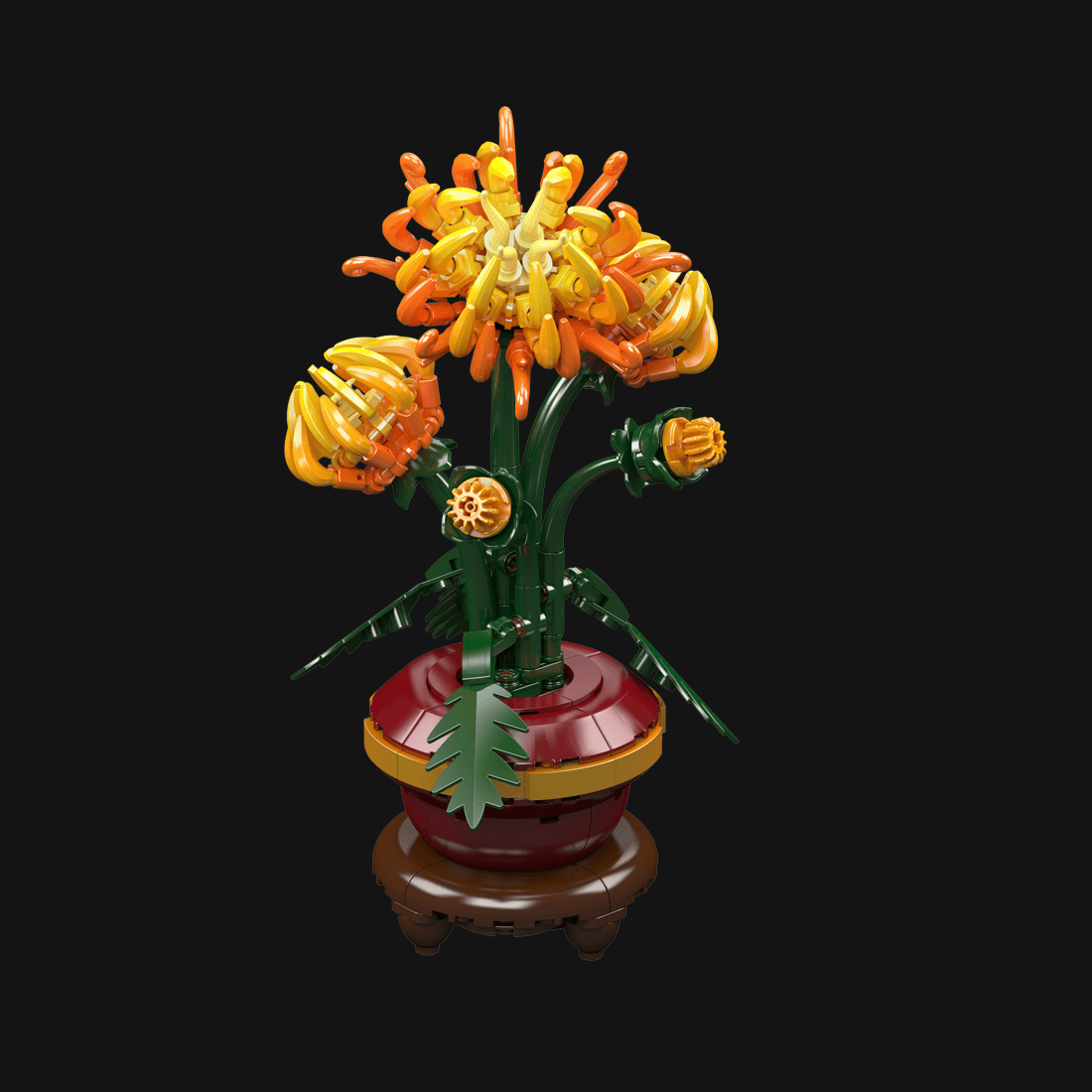 Chrysanthemum — image 3