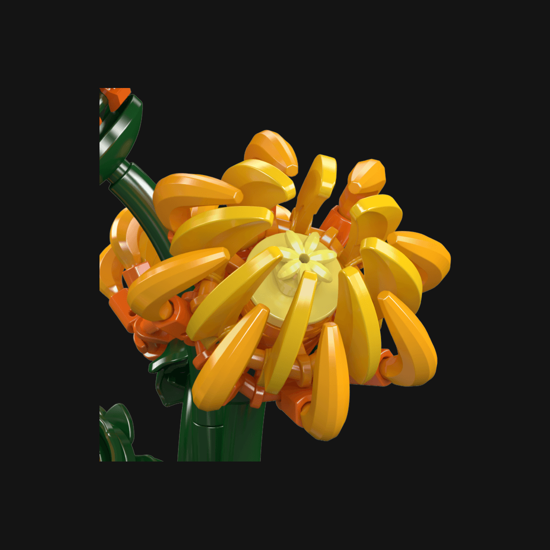 Chrysanthemum — image 5